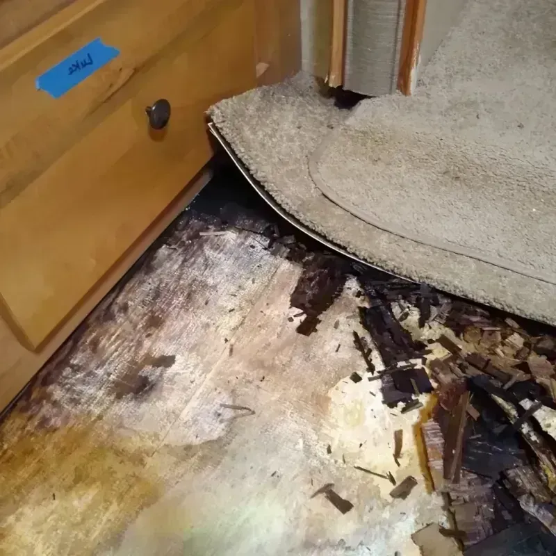 Best Wood Floor Water Damage Service in Fayette County, IA